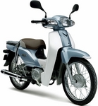 NewSuperCub110.jpg