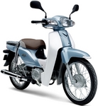 NewSuperCub110.jpg
