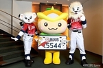 NumberPlate LIONS 20171106-201013.jpg