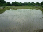 SampoAikagi20140626 145830.JPG