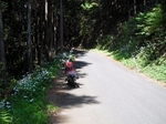 SampoChichibuRindou20180422-122805.JPG