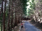 SampoChichibuRindou20180422-125934.JPG