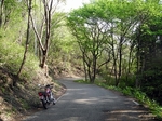 SampoChichibuRindou20180422-160757.JPG