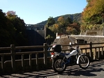 SampoEnzanKouyou20151105-104053.JPG