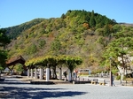 SampoEnzanKouyou20151105-104726.JPG