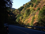 SampoEnzanKouyou20151105-115026.JPG