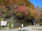 SampoEnzanKouyou20151105-120429.JPG