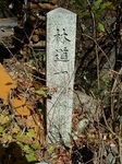 SampoEnzanKouyou20151105-120447.JPG