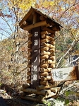 SampoEnzanKouyou20151105-120518.JPG