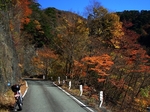 SampoEnzanKouyou20151105-121319.JPG
