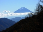 SampoEnzanKouyou20151105-130955.JPG