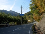 SampoEnzanKouyou20151105-145151.JPG