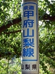 SampoEnzanKouyou20151105-145233.JPG