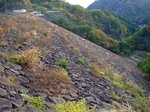 SampoEnzanKouyou20151105-161830.JPG