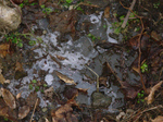 SampoFuyu_no_KAMI2011_0203_134834.jpg