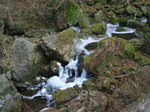 SampoFuyu_no_KAMI2011_0203_150053.jpg
