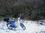 SampoFuyu_no_KAMI2011_0203_151011.jpg