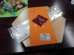 SampoMetlifeDome 20190412-122751.JPG