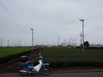 SampoNausicaa 20200626 131157.JPG