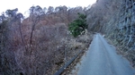 SampoOkutama 20181224-151220.JPG