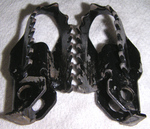 StepDR250RSouchaku2011_1018_181618.jpg