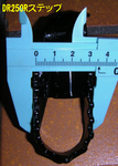 StepDR250RSouchaku2011_1020_164138.jpg