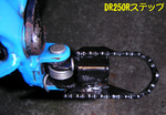 StepDR250RSouchaku2011_1020_175700.jpg