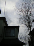 StickerTune2011_0324_164958.jpg