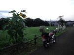 WelcomeHome20160724-182037.JPG